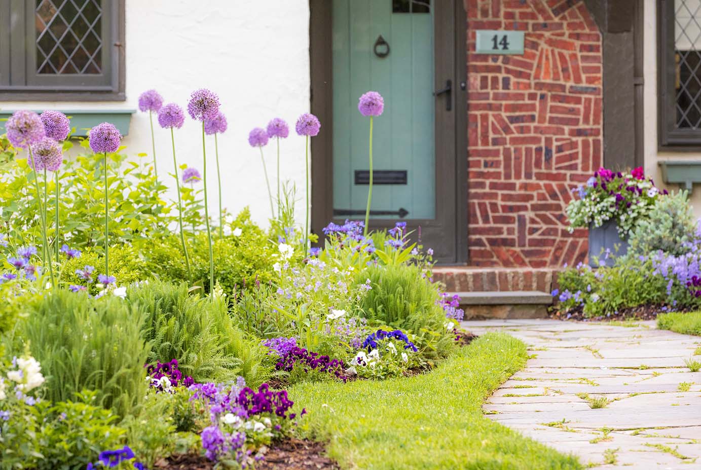 allium ☆ 71wBMCi9vqL._UF894,1000_QL80_.jpg