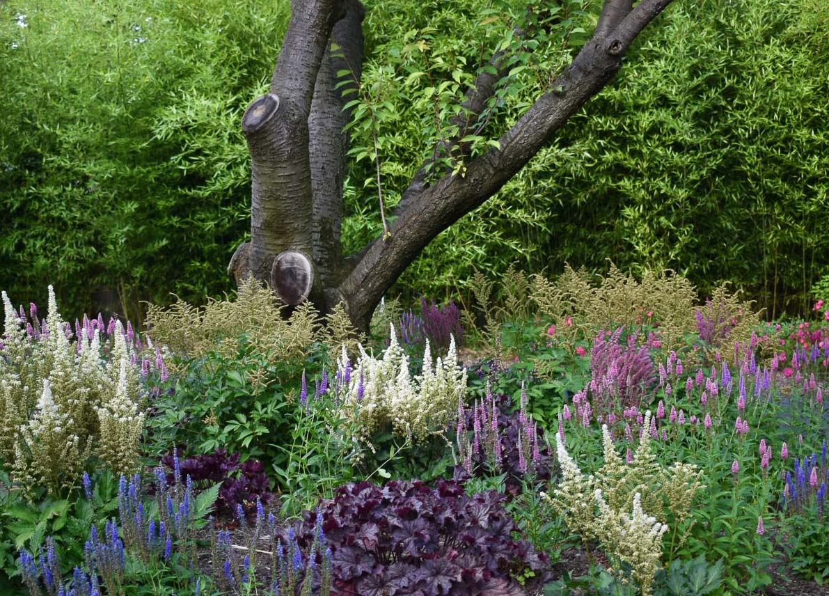 Shade Garden in South Orange New Jersey The Inspired Garden